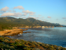 Point Lobos